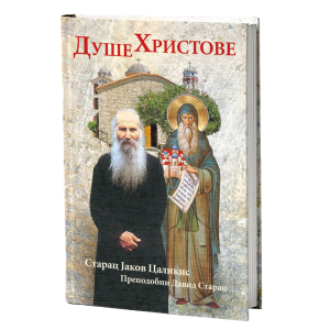 ДУШЕ ХРИСТОВЕ