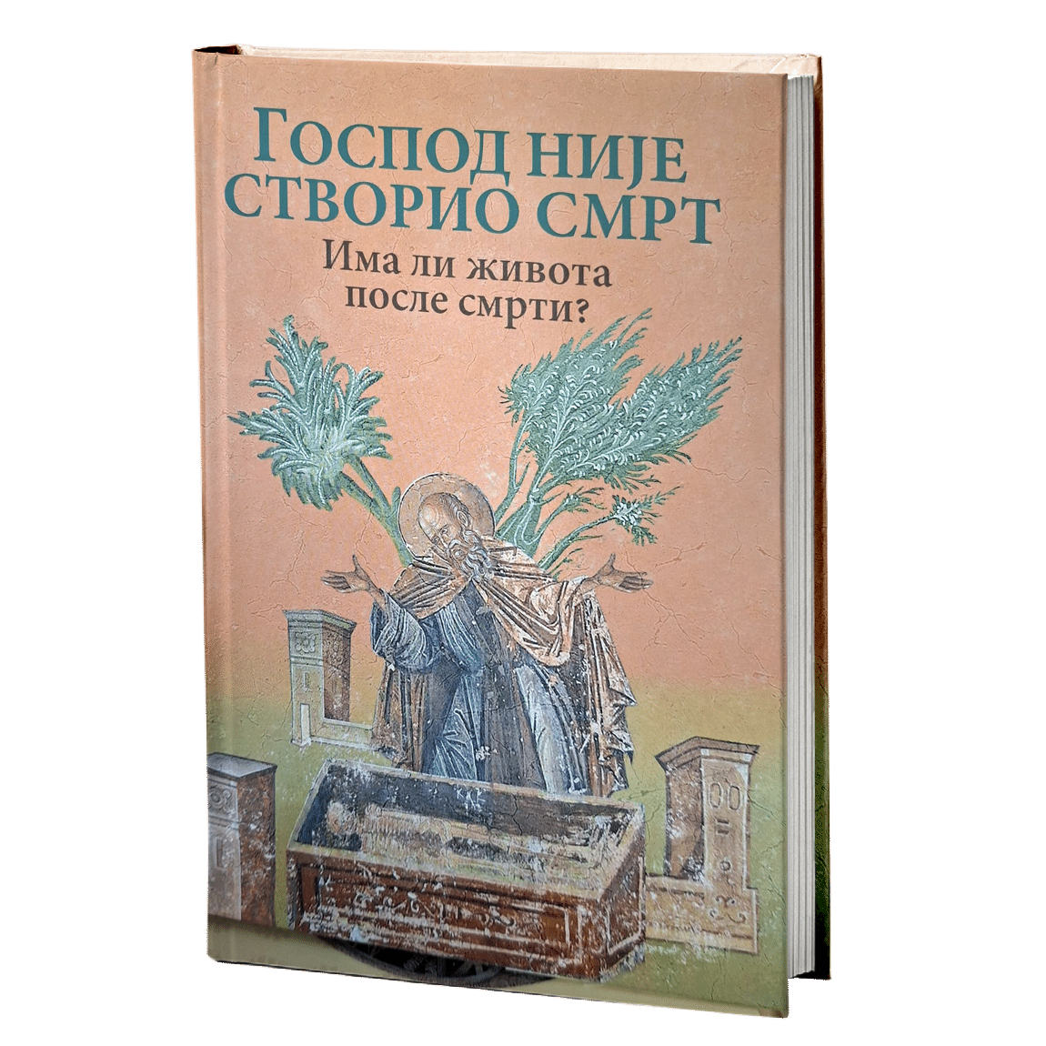 Господ није створио смрт: Има ли живота после смрти?